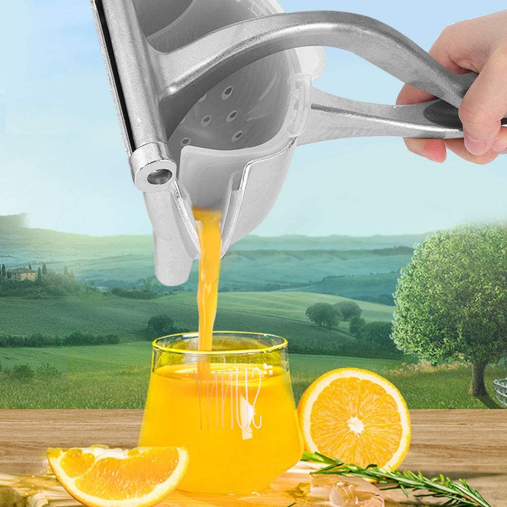 Manual fruit juicer